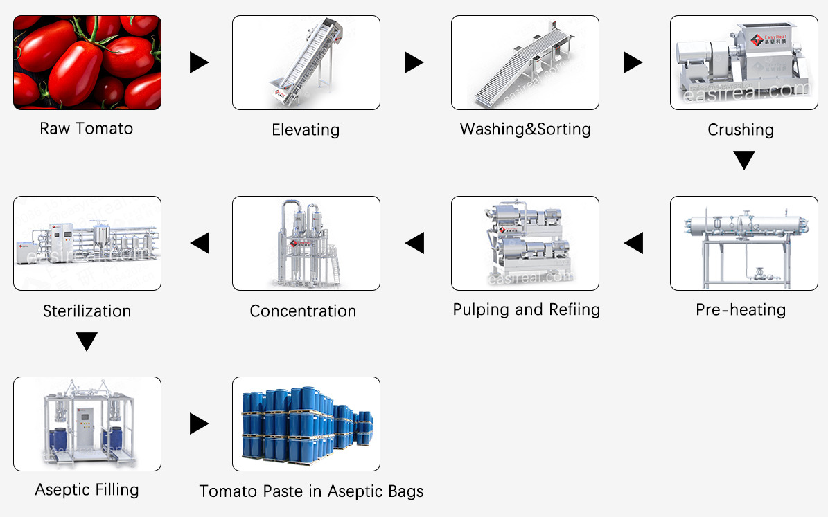 tomato sauce process